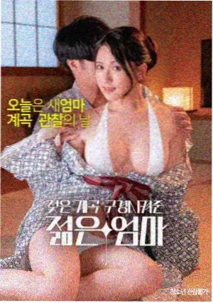继母的春天 海报